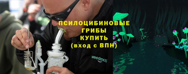 прущие грибы Белоозёрский