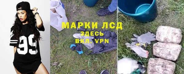 стафф Беломорск
