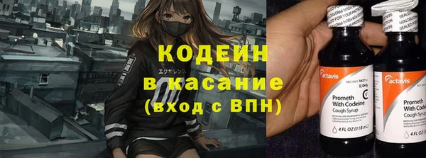 прущие грибы Белоозёрский